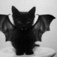 Tumblr_lxscsrkpft1qj1qc6o1_500
