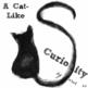 Newest_shop_and_blog_logo