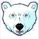 Polar-bear-head