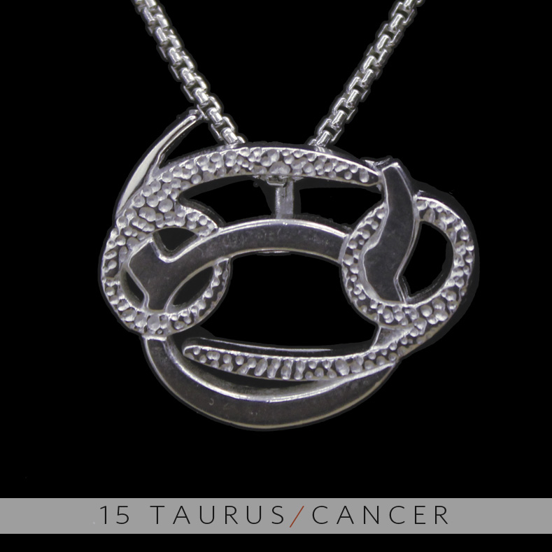 the taurus and cancer silver unity pendant on storenvy the taurus and cancer silver unity pendant on storenvy