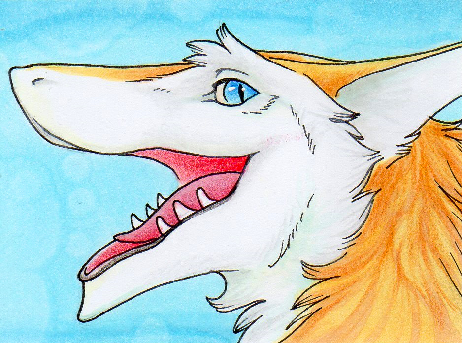 Sergal 1 + 2 Aceo Badge Set and Prints · Buy and help our