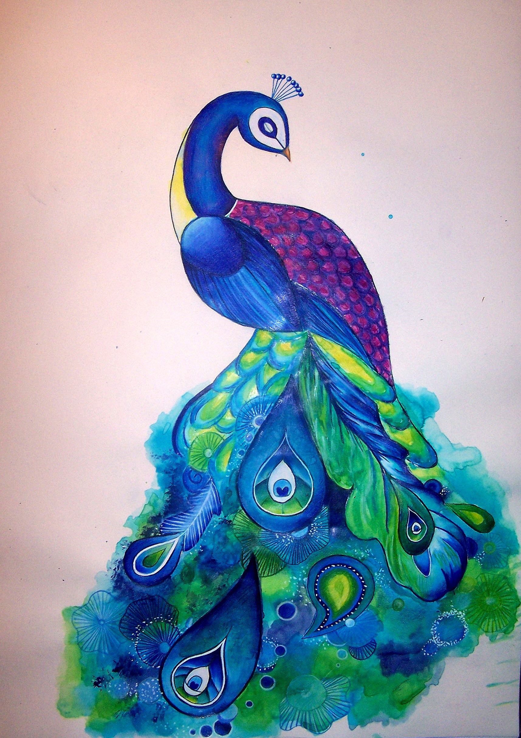 Blue Peacock Print Shannon Gordy Artwork Online Store Powered